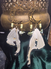 Load image into Gallery viewer, Luna Moth ~ Actias luna Earrings