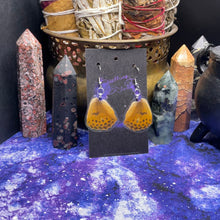 Load image into Gallery viewer, Damora Sagana Earrings