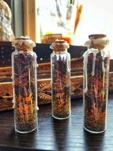 Load image into Gallery viewer, Fertility Spell Jars