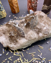 Load image into Gallery viewer, Silver Earrings