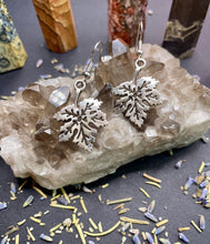 Load image into Gallery viewer, Silver Earrings