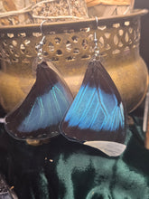 Load image into Gallery viewer, Blue Morpho ~ Morpho Menelaus Earrings
