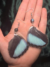 Load image into Gallery viewer, Blue Morpho ~ Morpho Menelaus Earrings
