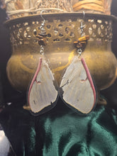 Load image into Gallery viewer, Luna Moth ~ Actias luna Earrings
