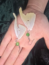 Load image into Gallery viewer, Luna Moth ~ Actias luna Earrings
