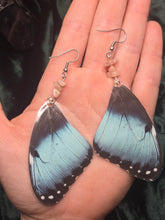 Load image into Gallery viewer, Blue Morpho ~ Morpho Menelaus Earrings
