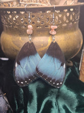 Load image into Gallery viewer, Blue Morpho ~ Morpho Menelaus Earrings
