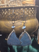 Load image into Gallery viewer, Blue Morpho ~ Morpho Menelaus Earrings

