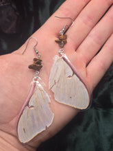 Load image into Gallery viewer, Luna Moth ~ Actias luna Earrings
