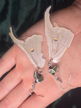 Load image into Gallery viewer, Luna Moth ~ Actias luna Earrings
