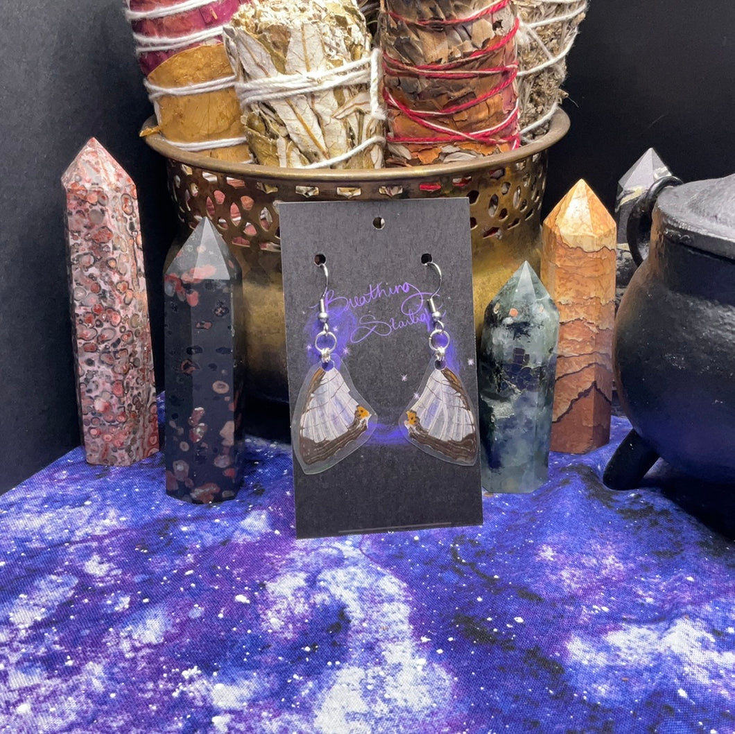 Common Map Earrings