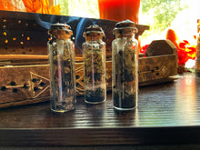 Load image into Gallery viewer, Protection Spell Jars
