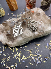 Load image into Gallery viewer, Silver Earrings
