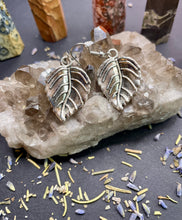 Load image into Gallery viewer, Silver Earrings
